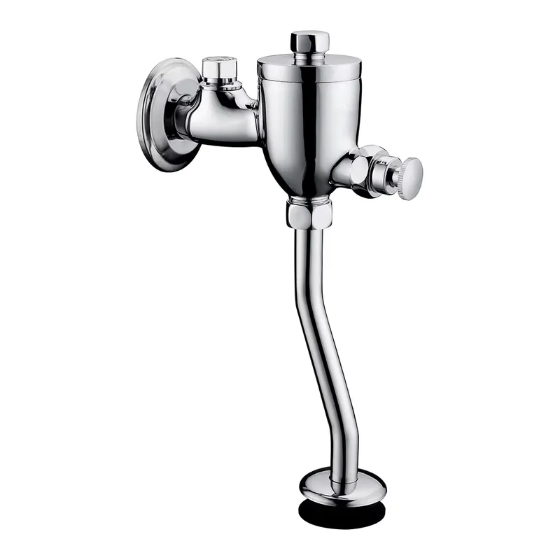 Modern Solid Brass Toilet Flus - đánh giá và giá Home Bathroom Fittings